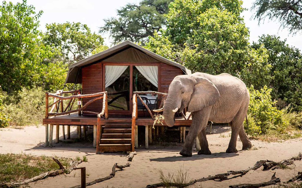 Camping Botswana Camp Savuti