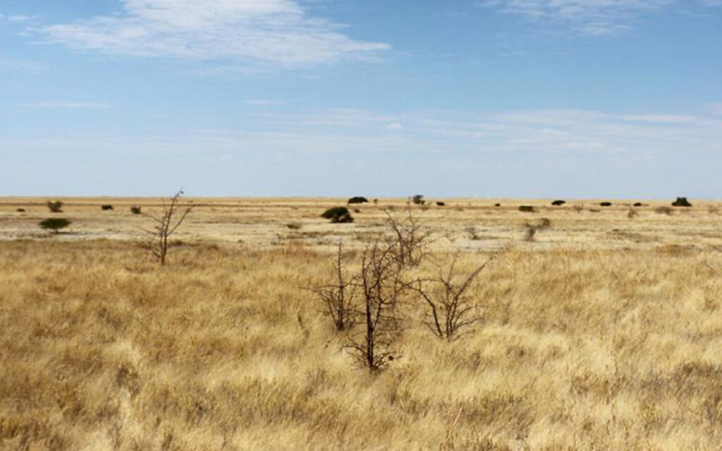 Camping Botswana Njuca