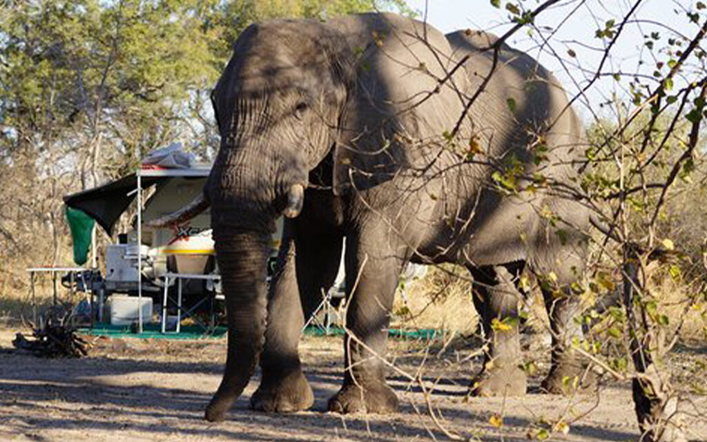 Camping Botswana Xakanaxa