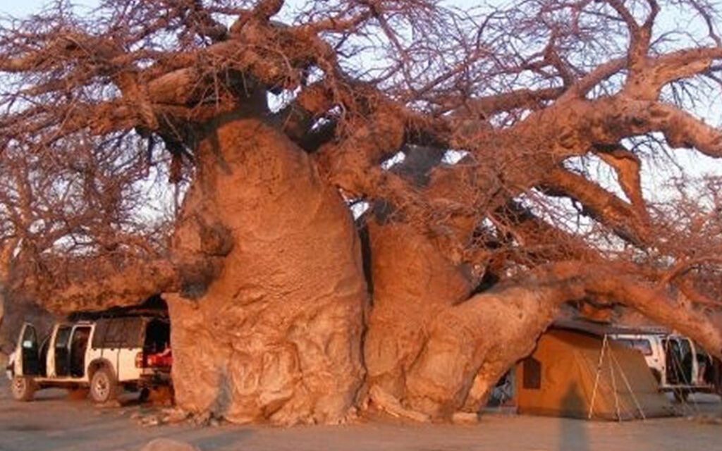 Lekhubu Camp