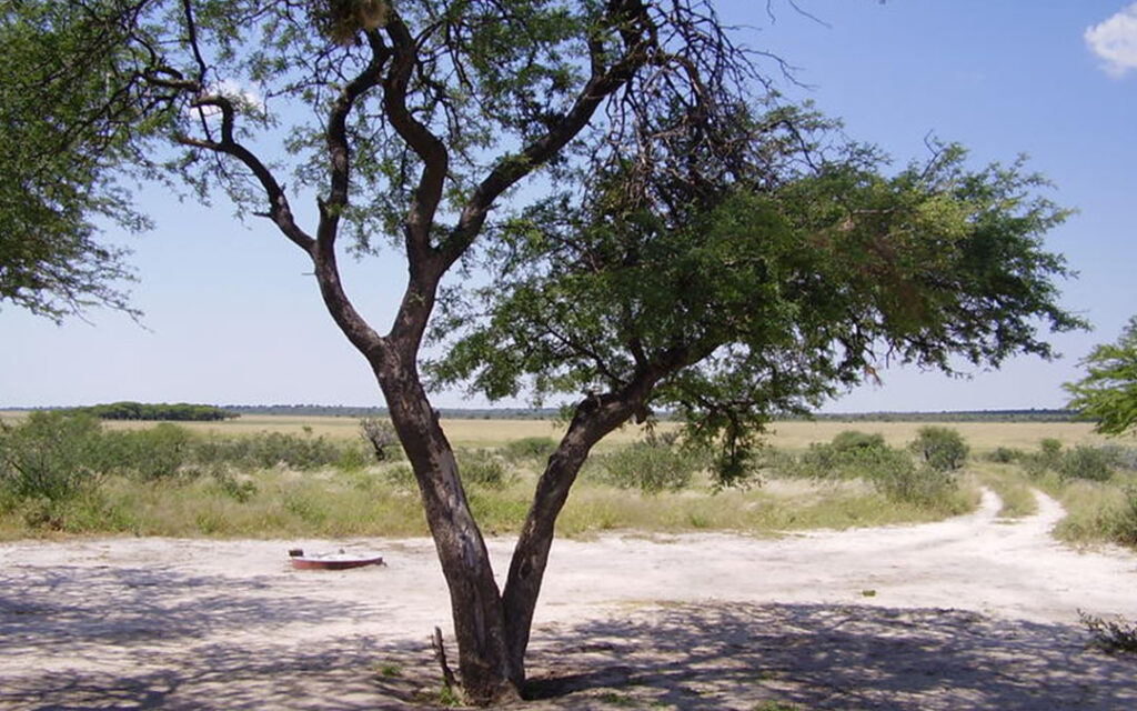 Passarge Campsite