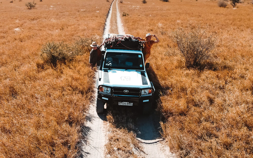 Safari Botswana