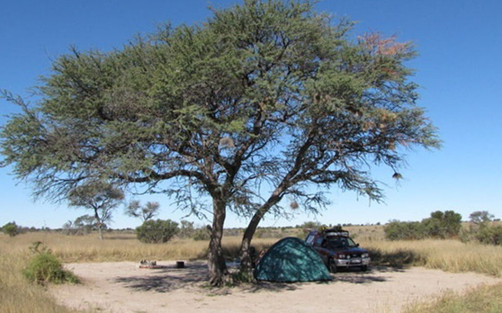 Xaxa Camp
