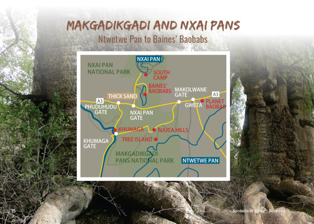 Makgadikgadi & Nxai Pan