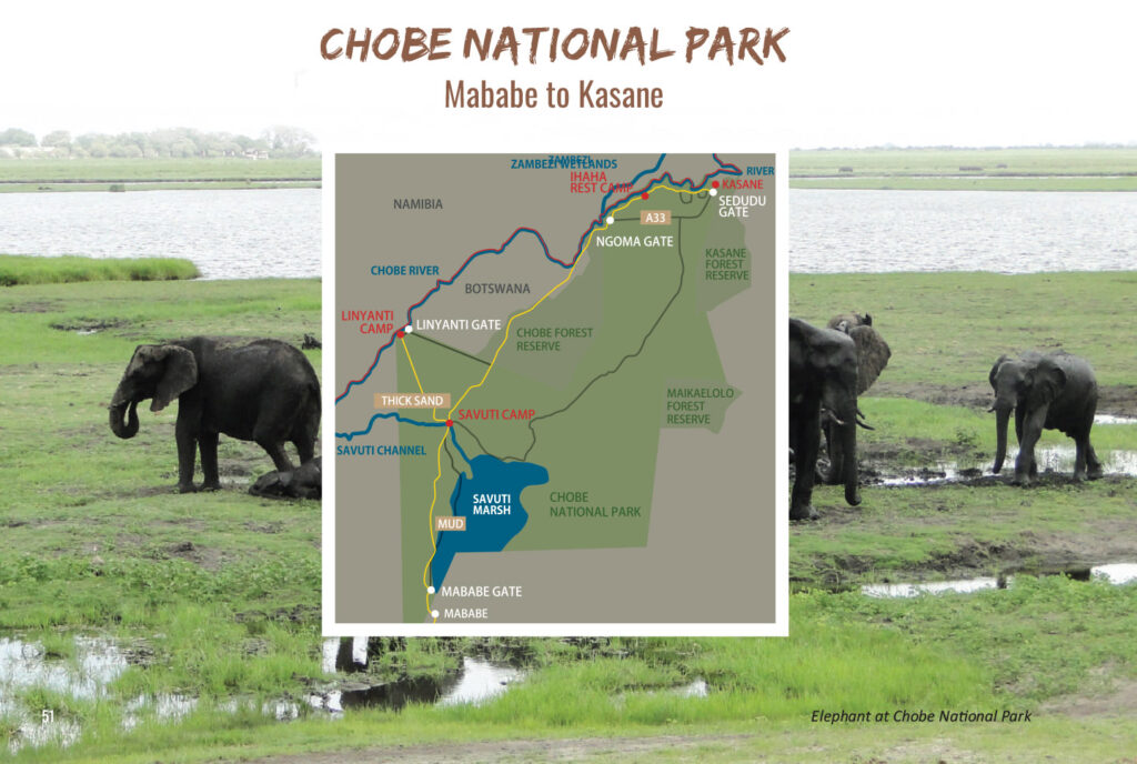 Chobe National Park
