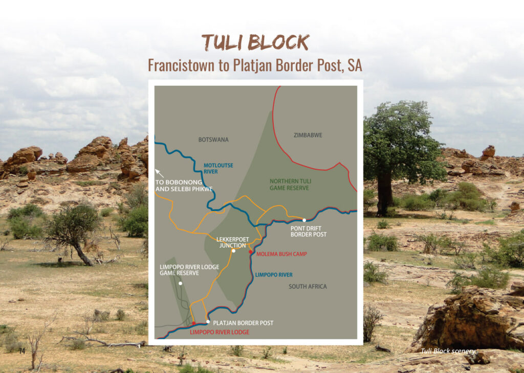 Tuli Block