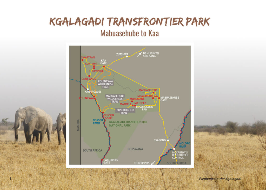 Kgalagadi Transfrontier Park