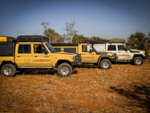 Fleet of Land Cruisers ready for the Journey.